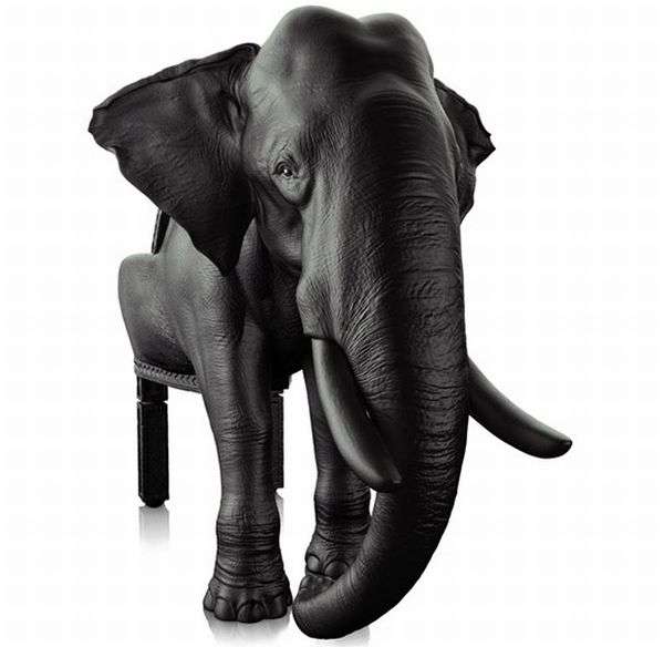 Elephant Chair by Maximo Riera 2