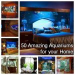 50 Amazing Aquariums for your Home