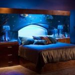 amazing aquariums for your home