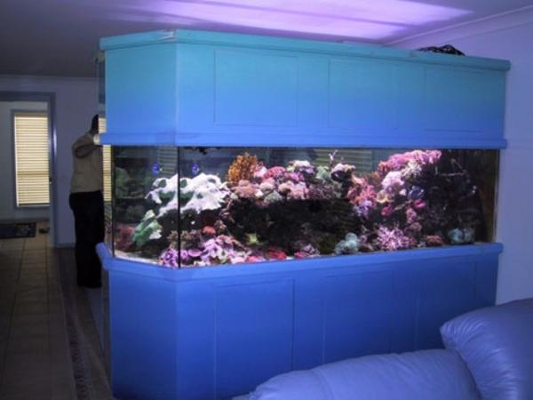 amazing aquariums for your home